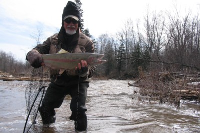 Steelhead